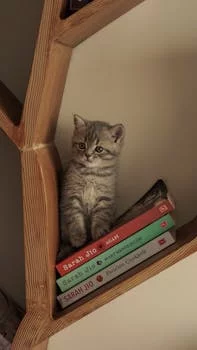 Sarah Martinez general manager smiling professional